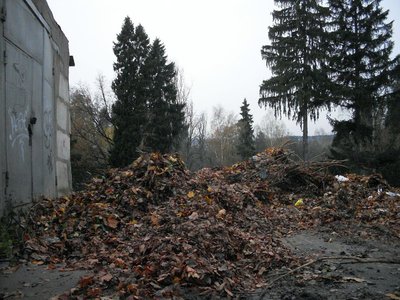 SDC14201-1.jpg