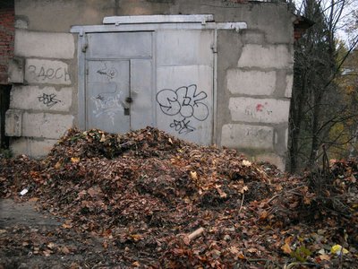 SDC14200-1.jpg