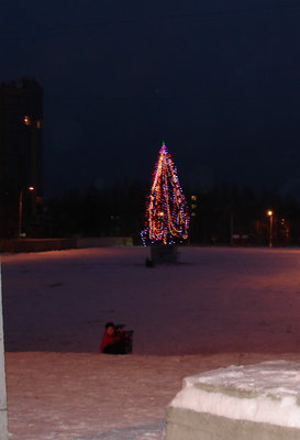 DSC03834.jpg