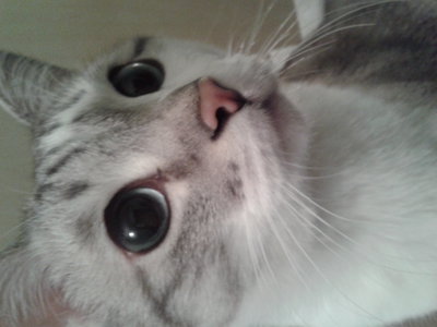 20121230_014037.jpg