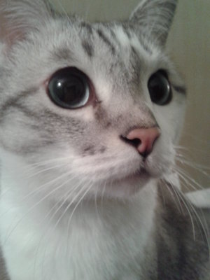20121230_014037.jpg
