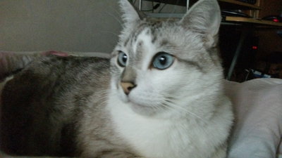 20121230_3275.jpg