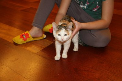 IMG_6207.JPG