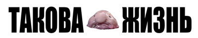 gl1.png