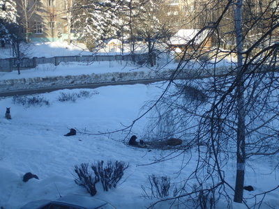 DSC00224.JPG