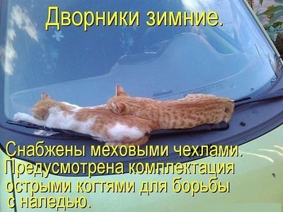 дворники.jpg