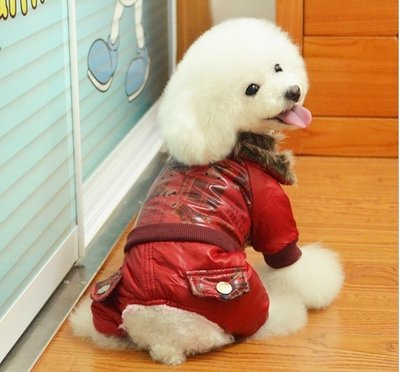 комбез1.jpg