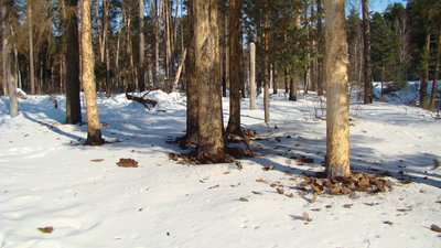типограф 001.JPG