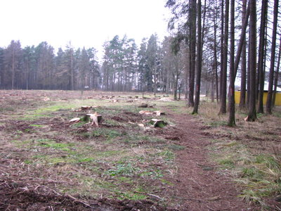 STC_2315.JPG