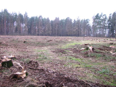 STB_2314.JPG