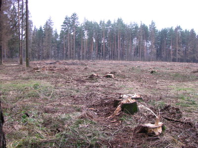 STA_2313.JPG