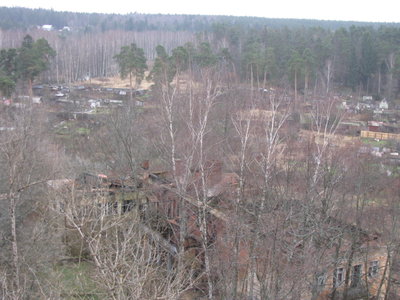 IMG_2305.JPG