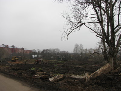 IMG_2325.JPG