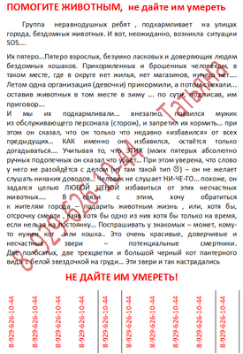 Помогите животным _ paint.png