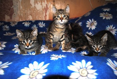 DSC_1493.JPG