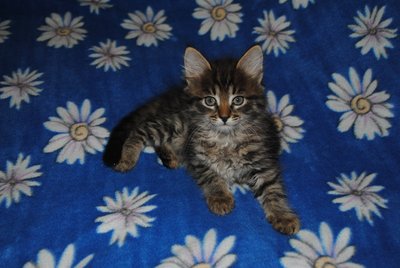 DSC_1484.JPG