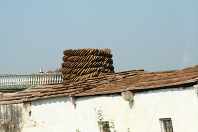 IMG_6177.jpg