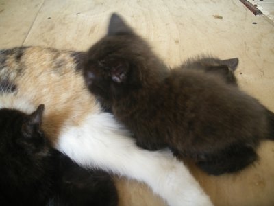 IMGP1510.JPG
