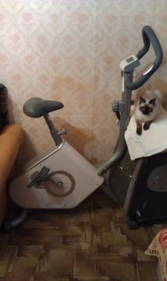 IMAG0234.jpg