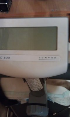 IMAG0236.jpg