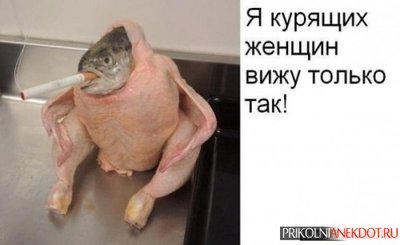 1d41c0961d0abf376933bc758dae59ff.jpg
