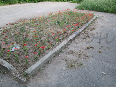 16.06.13 010-001.jpg