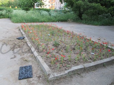 16.06.13 008-001.jpg