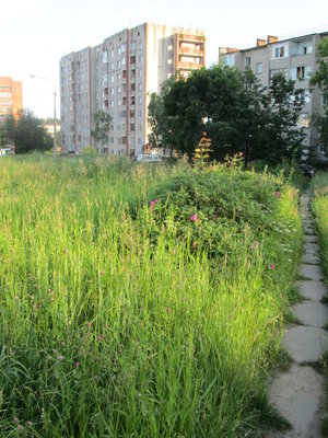 16.06.13 007.jpg