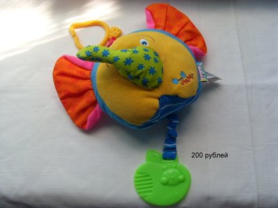SDC10201.JPG