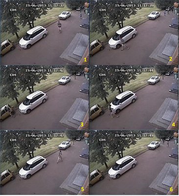 2 cam.jpg