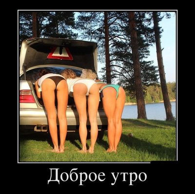 1371558811_00.jpg