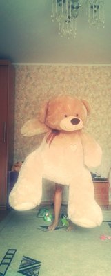 IMG_20130710_102941.jpg