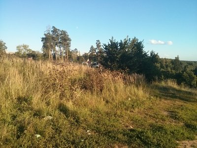 IMG_20130816_193558.jpg