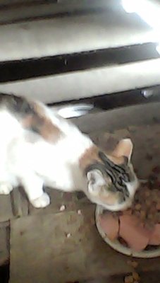 IMG00067.jpg