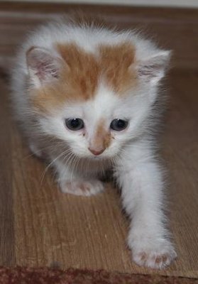 IMG_0812.JPG