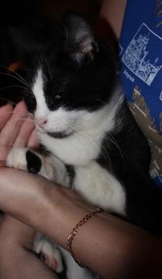 IMG_0802.JPG