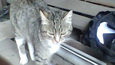 IMG00105.jpg