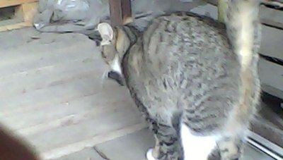 IMG00109.jpg