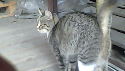 IMG00110.jpg