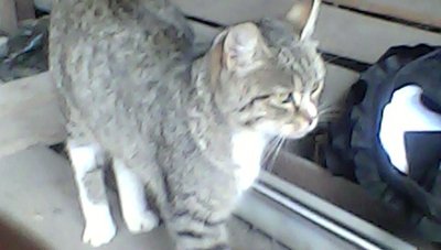 IMG00104.jpg