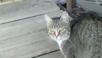 IMG00097.jpg