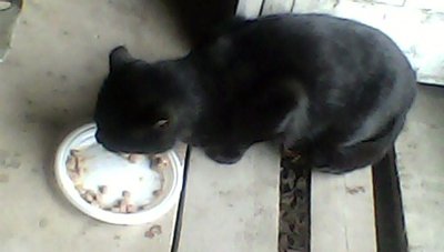 IMG00165.jpg