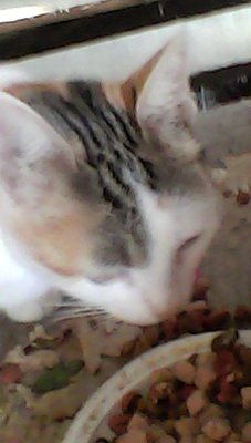 IMG00077.jpg