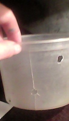 IMG00172.jpg