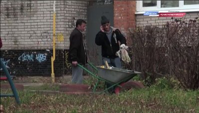 мигранты.jpg