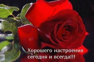 pic.jpg