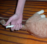 1.jpg