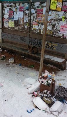 20140112_144711.jpg
