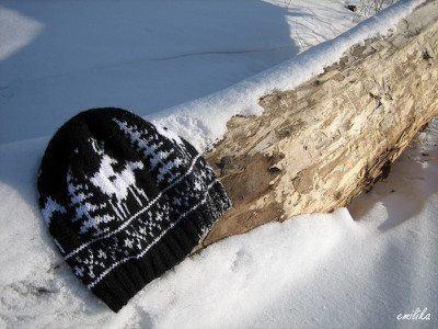 олени.jpg