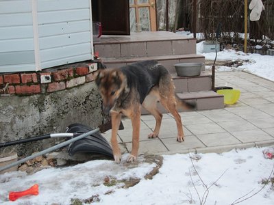 IMG_0055.JPG